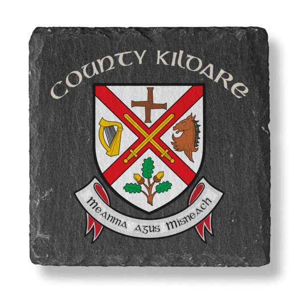 County Kildare 4" x 4" Coaster